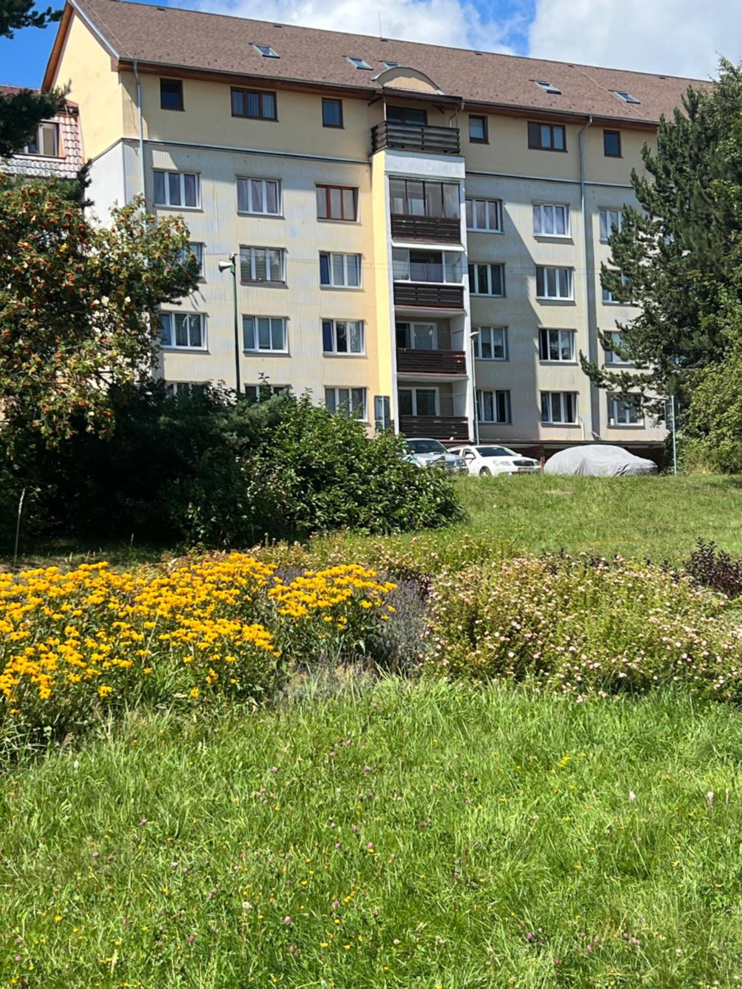 Apartment タトランスカー・シュトゥルバ エクステリア 写真